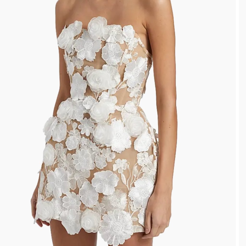 Bronx And Banco Size 6 (Jasmine Maraya Floral Mini Dress)